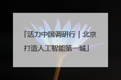 活力中国调研行｜北京打造人工智能第一城