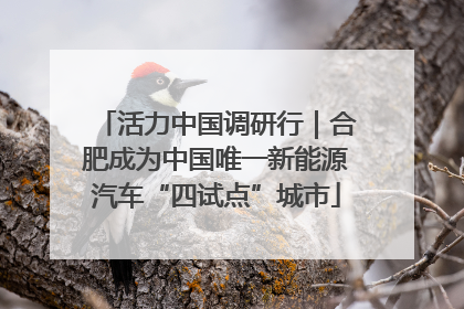 活力中国调研行｜合肥成为中国唯一新能源汽车“四试点”城市
