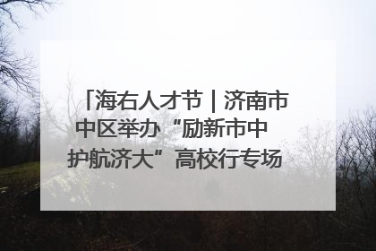 海右人才节｜济南市中区举办“励新市中 护航济大”高校行专场活动暨“青年人才 乐享市中”品牌推介会