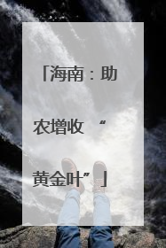 海南：助农增收 “黄金叶”