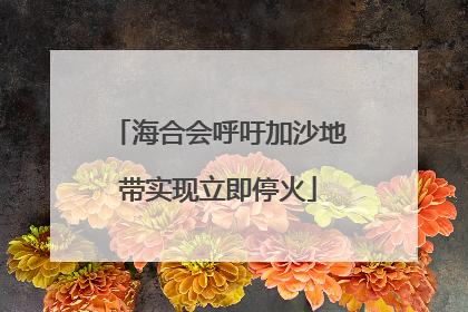海合会呼吁加沙地带实现立即停火
