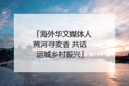 海外华文媒体人黄河寻麦香 共话运城乡村振兴