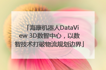 海康机器人DataView 3D数智中心，以数智技术打破物流规划边界