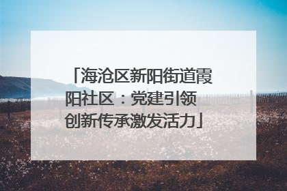 海沧区新阳街道霞阳社区：党建引领 创新传承激发活力