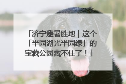 济宁避暑胜地｜这个「半园湖光半园绿」的宝藏公园藏不住了！