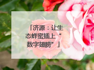 济源：让生态蜂蜜插上“数字翅膀”