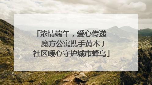 浓情端午，爱心传递——魔方公寓携手黄木 厂社区暖心守护城市蜂鸟