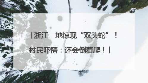 浙江一地惊现“双头蛇”！村民吓懵：还会倒着爬！