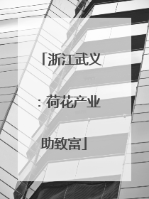 浙江武义：荷花产业助致富