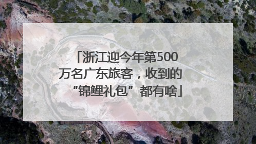 浙江迎今年第500万名广东旅客，收到的“锦鲤礼包”都有啥