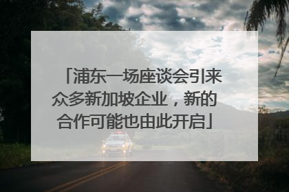 浦东一场座谈会引来众多新加坡企业，新的合作可能也由此开启