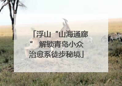 浮山“山海通廊” 解锁青岛小众治愈系徒步秘境