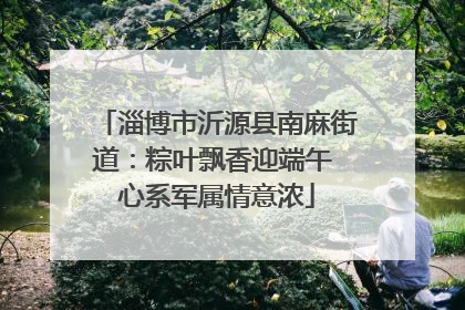 淄博市沂源县南麻街道：粽叶飘香迎端午 心系军属情意浓