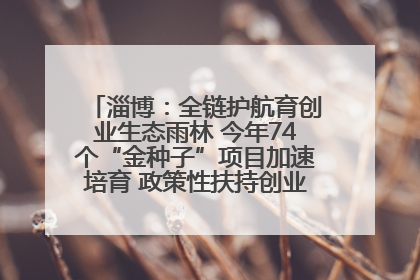 淄博：全链护航育创业生态雨林 今年74个“金种子”项目加速培育 政策性扶持创业9754人