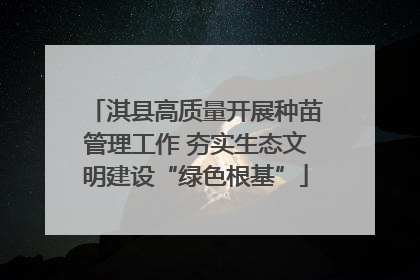 淇县高质量开展种苗管理工作 夯实生态文明建设“绿色根基”
