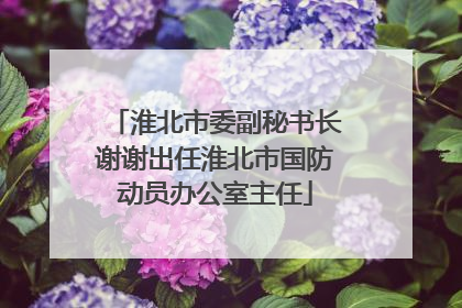淮北市委副秘书长谢谢出任淮北市国防动员办公室主任