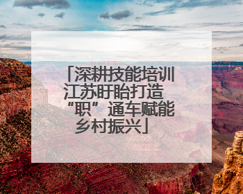 深耕技能培训 江苏盱眙打造“职”通车赋能乡村振兴