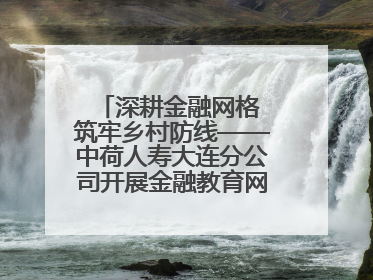 深耕金融网格 筑牢乡村防线——中荷人寿大连分公司开展金融教育网格化宣传活动