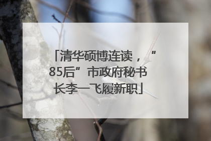 清华硕博连读，“85后”市政府秘书长李一飞履新职