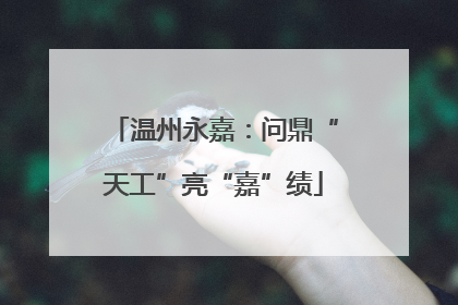 温州永嘉：问鼎“天工”亮“嘉”绩