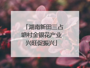 湖南新田三占塘村金银花产业兴旺促振兴