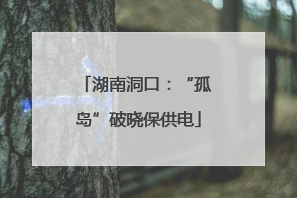 湖南洞口：“孤岛”破晓保供电