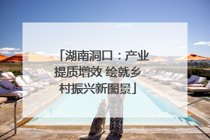 湖南洞口：产业提质增效 绘就乡村振兴新图景