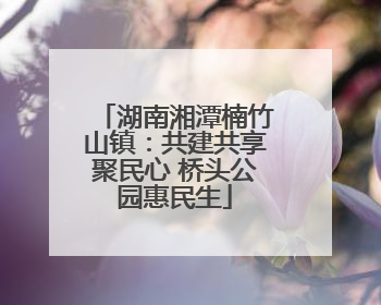 湖南湘潭楠竹山镇：共建共享聚民心 桥头公园惠民生