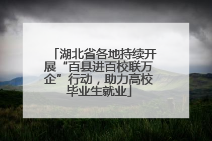 湖北省各地持续开展“百县进百校联万企”行动，助力高校毕业生就业