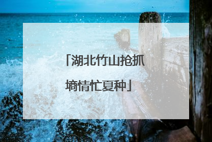 湖北竹山抢抓墒情忙夏种