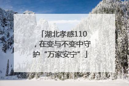 湖北孝感110，在变与不变中守护“万家安宁”