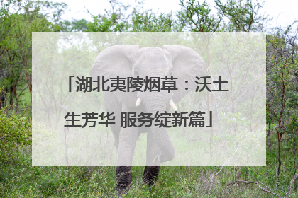 湖北夷陵烟草：沃土生芳华 服务绽新篇