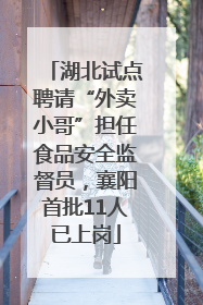 湖北试点聘请“外卖小哥”担任食品安全监督员，襄阳首批11人已上岗