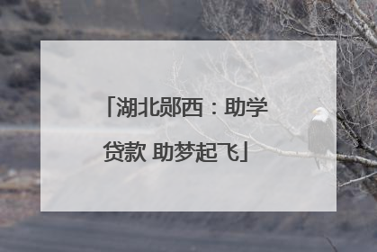 湖北郧西：助学贷款 助梦起飞