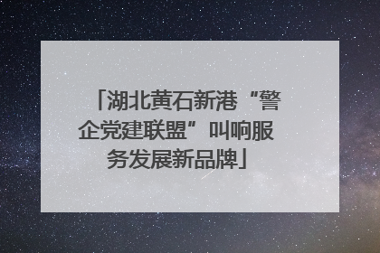 湖北黄石新港“警企党建联盟”叫响服务发展新品牌