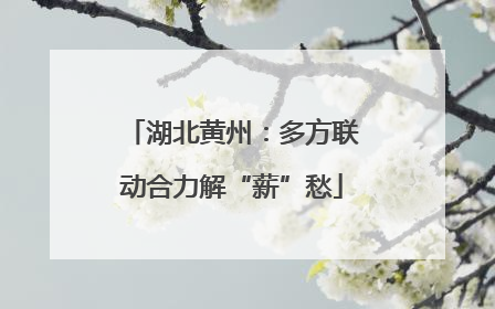 湖北黄州：多方联动合力解“薪”愁