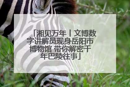湘见万年丨文博数字讲解员现身岳阳市博物馆 带你解密千年巴陵往事