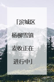 滨城区杨柳雪镇麦收正在进行中