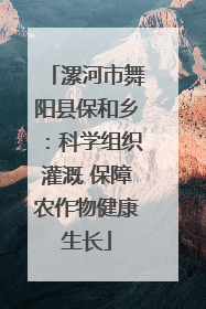 漯河市舞阳县保和乡：科学组织灌溉 保障农作物健康生长