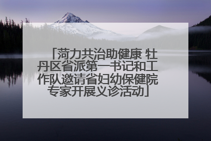 菏力共治助健康 牡丹区省派第一书记和工作队邀请省妇幼保健院专家开展义诊活动