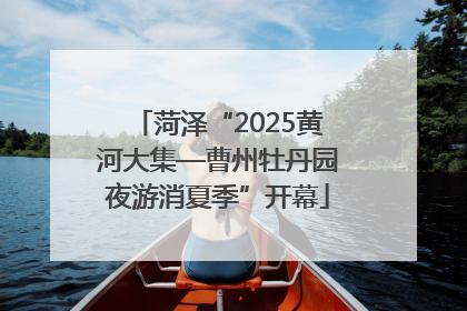 菏泽“2025黄河大集—曹州牡丹园夜游消夏季”开幕