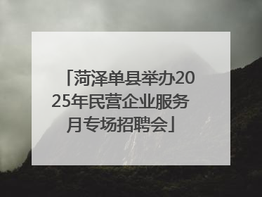 菏泽单县举办2025年民营企业服务月专场招聘会