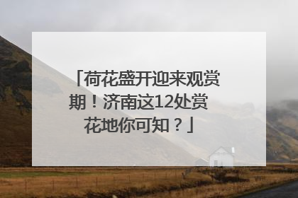 荷花盛开迎来观赏期！济南这12处赏花地你可知？