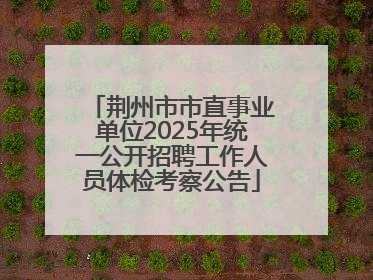荆州市市直事业单位2025年统一公开招聘工作人员体检考察公告