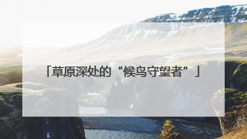 草原深处的“候鸟守望者”