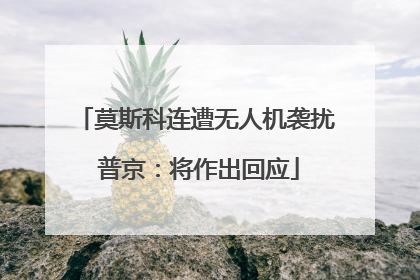 莫斯科连遭无人机袭扰 普京：将作出回应