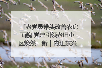老党员带头改善农房面貌 党建引领老旧小区焕然一新｜内江东兴“红”在哪？④