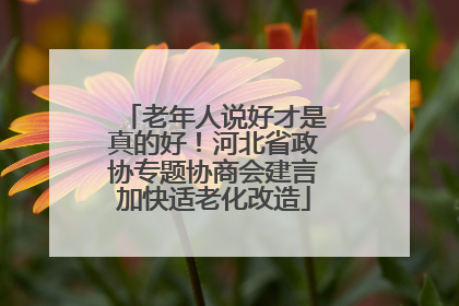 老年人说好才是真的好！河北省政协专题协商会建言加快适老化改造