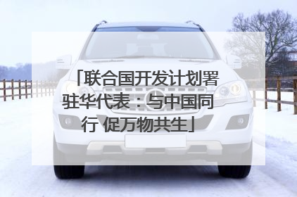 联合国开发计划署驻华代表：与中国同行 促万物共生