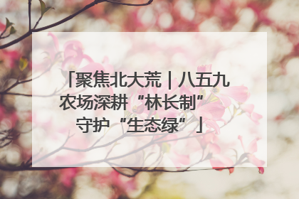 聚焦北大荒｜八五九农场深耕“林长制” 守护“生态绿”